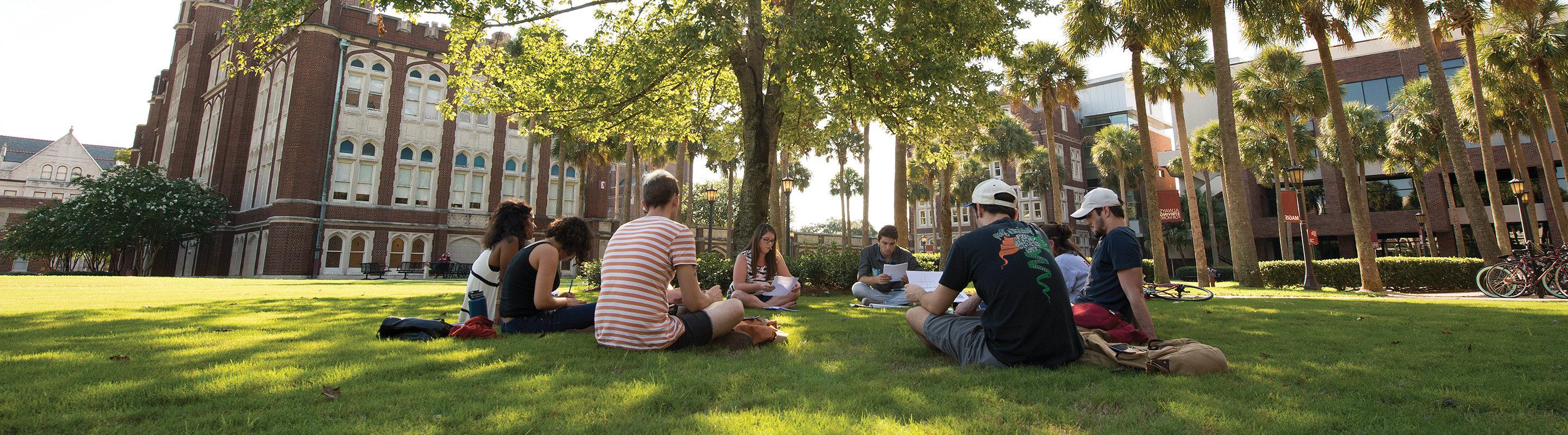 Students Studying Outside